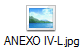 ANEXO IV-L.jpg